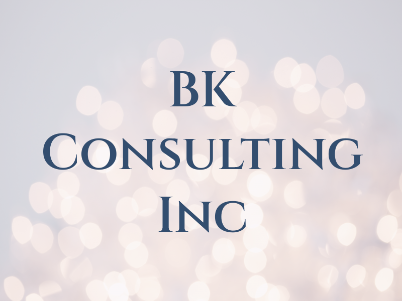BK Consulting Inc
