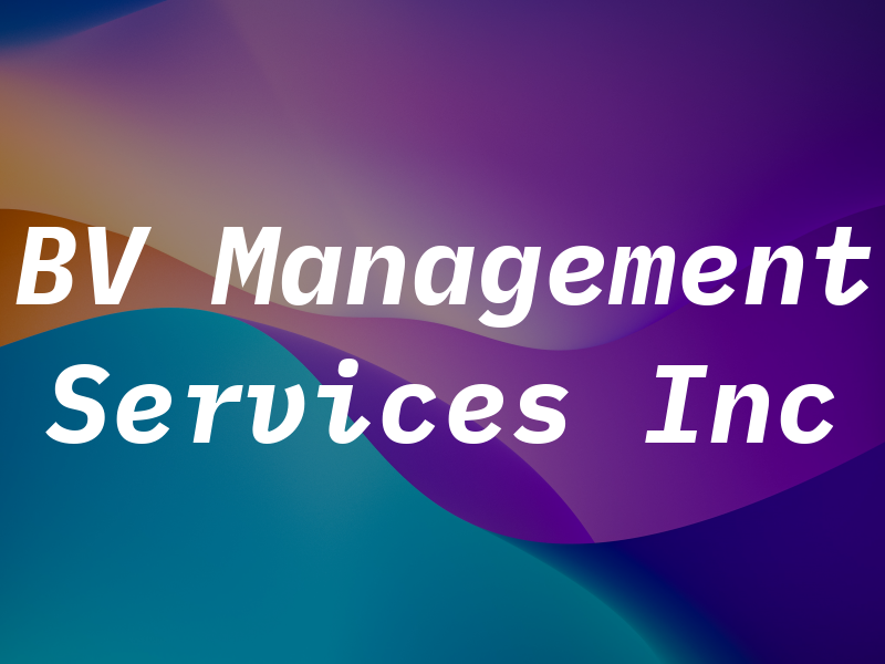 BV Management Services Inc