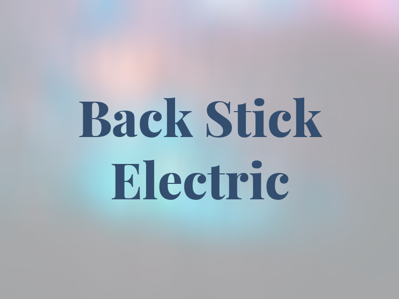 Back Stick Electric