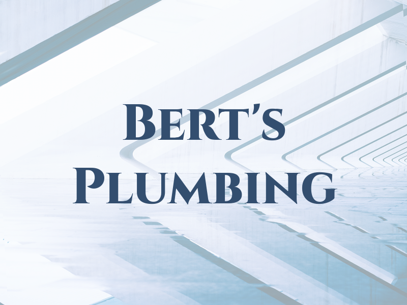 Bert's Plumbing