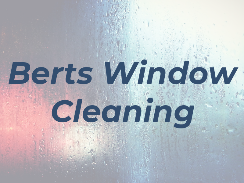 Berts Window Cleaning