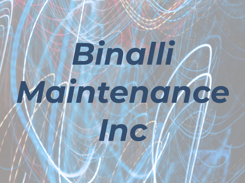 Binalli Maintenance Inc