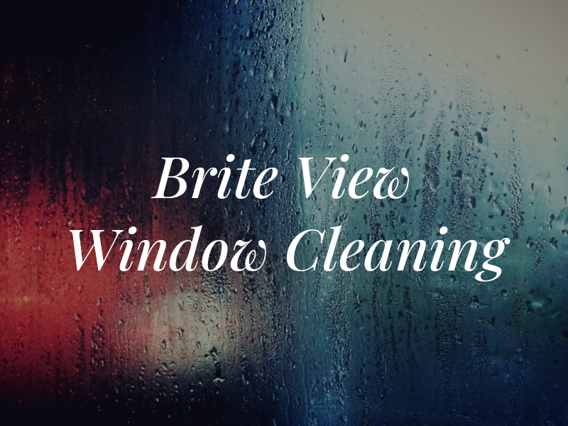 Brite View Window Cleaning