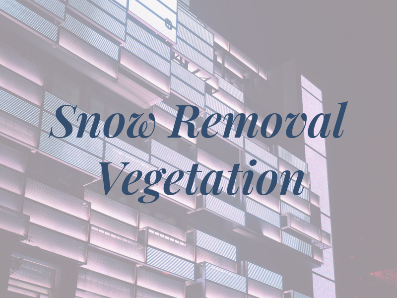 Cck Snow Removal & Vegetation