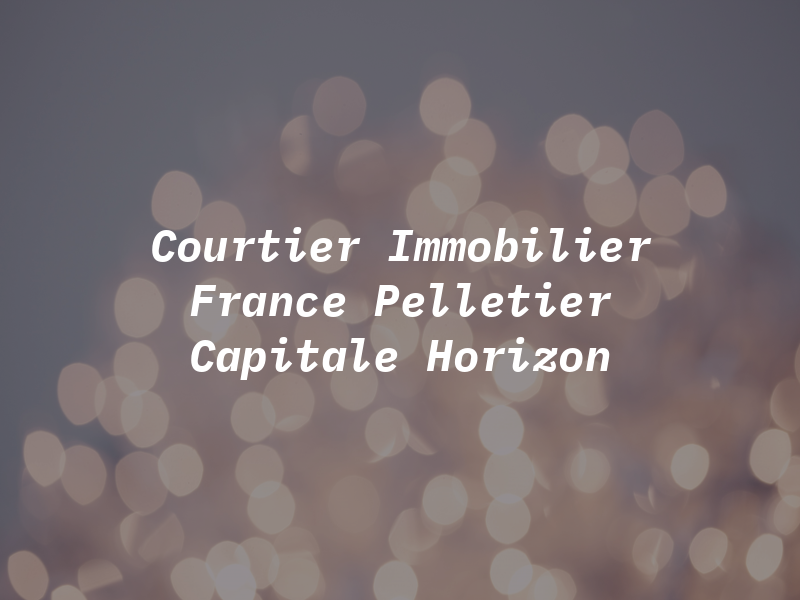 Courtier Immobilier France Pelletier Via Capitale Horizon