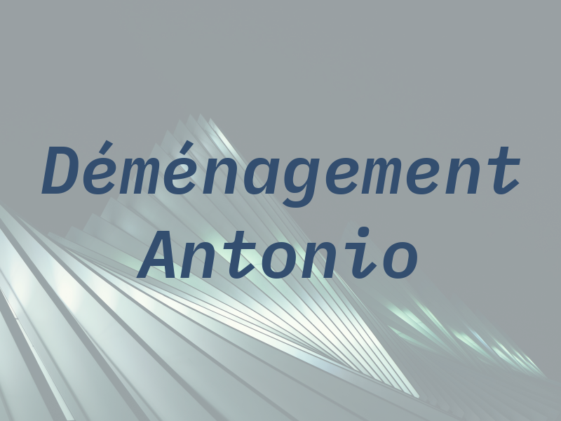 Déménagement Antonio