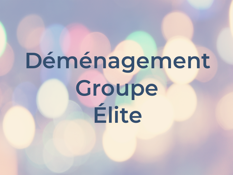 Déménagement Groupe Élite