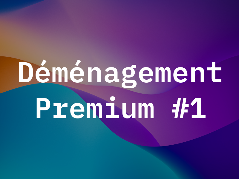 Déménagement Premium #1