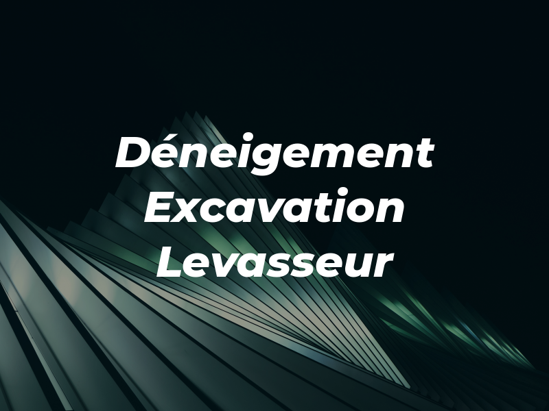 Déneigement et Excavation Levasseur