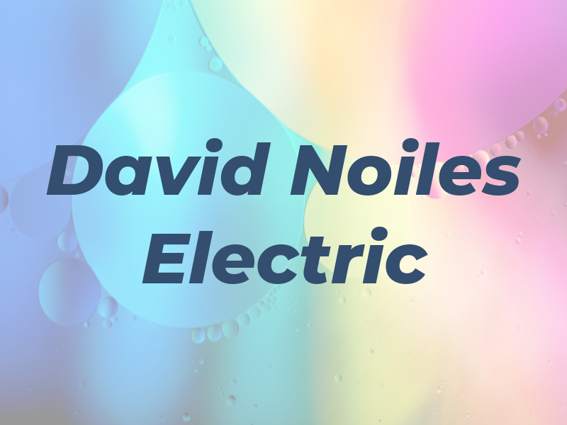 David Noiles Electric Ltd