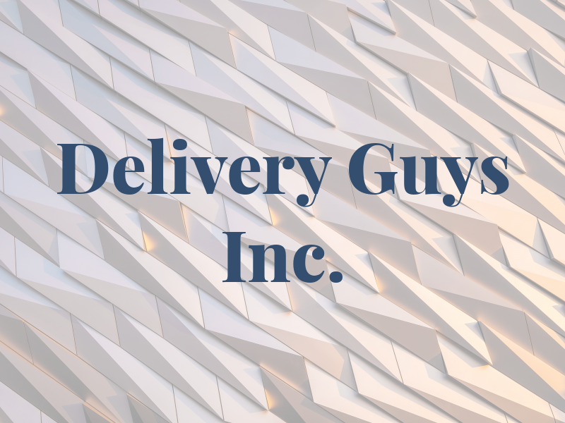Delivery Guys Inc.
