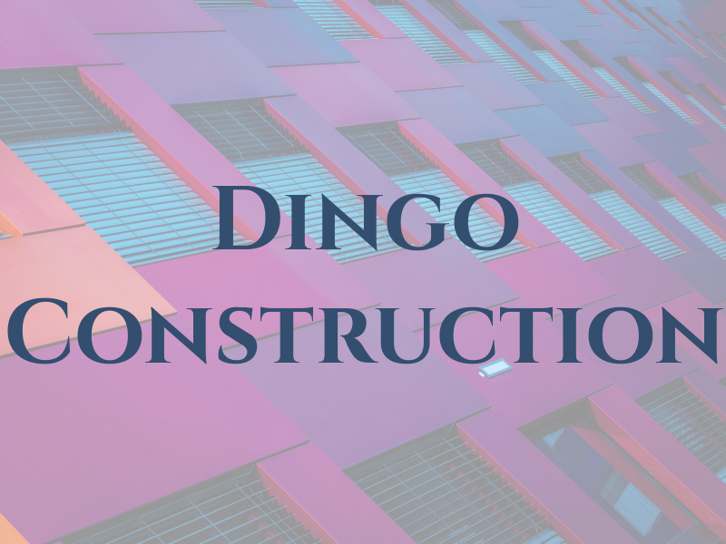 Dingo Construction
