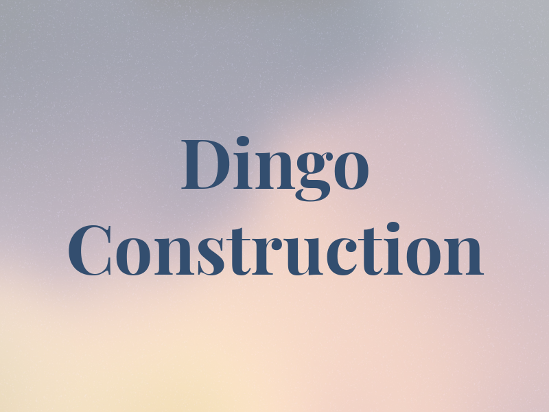 Dingo Construction