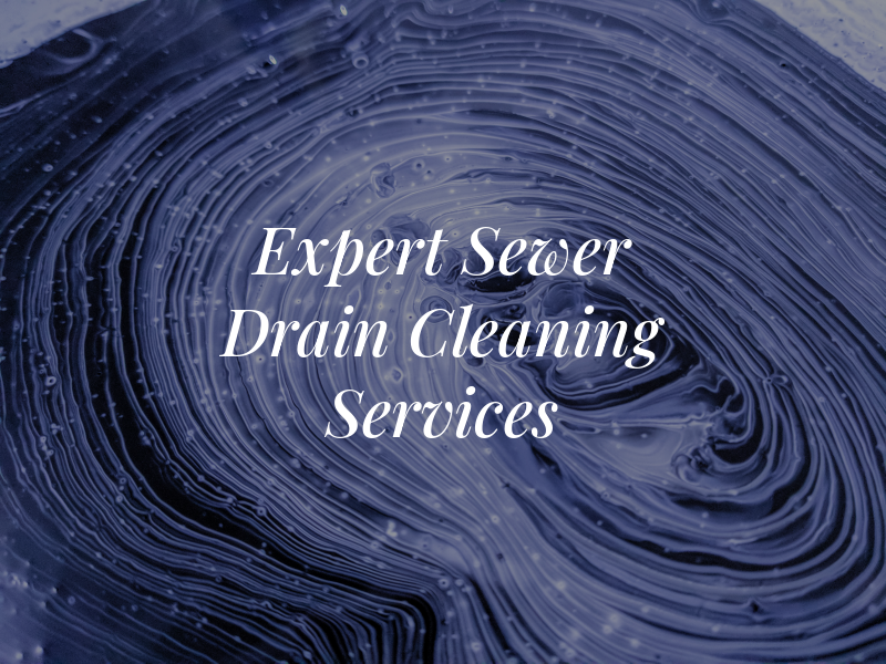 Expert Sewer & Drain Cleaning Services