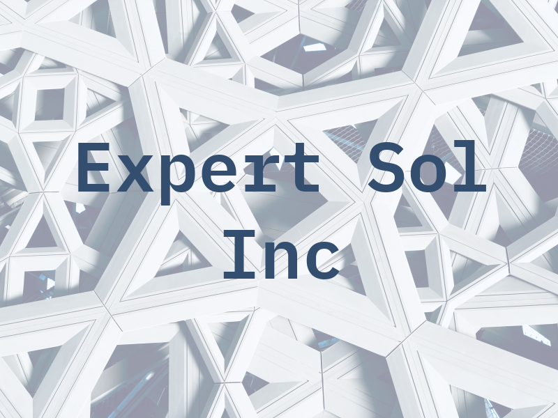 Expert Sol Inc