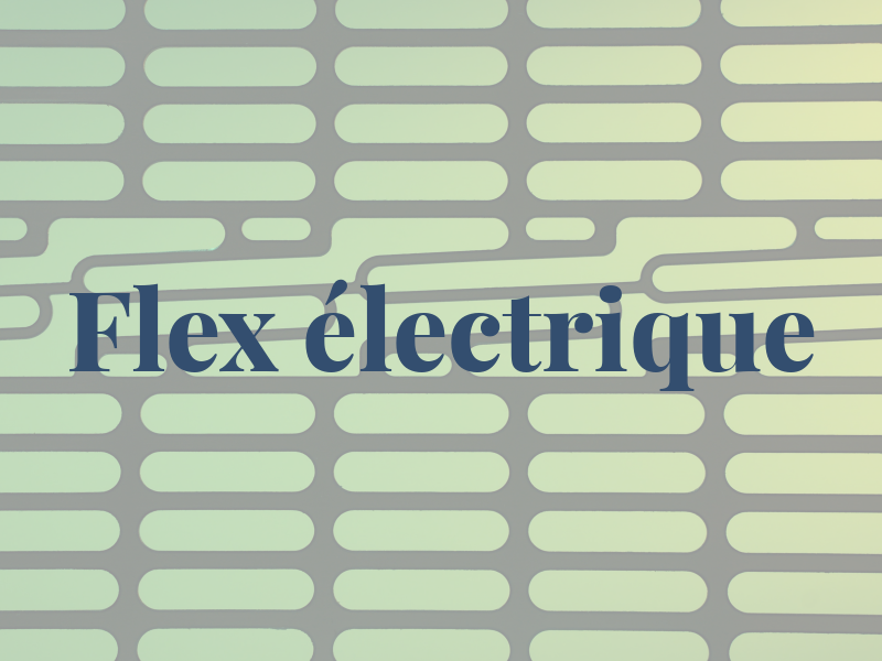 Flex électrique