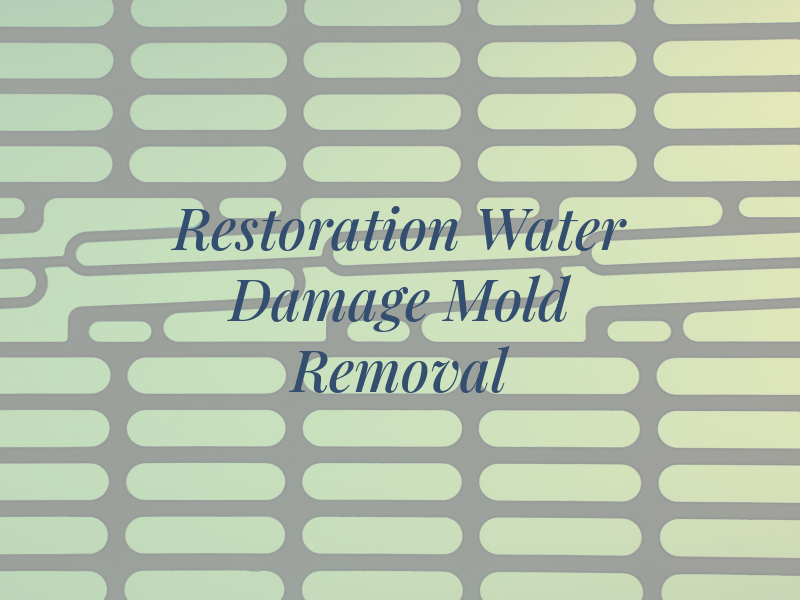 GTA Restoration Water Damage & Mold Removal