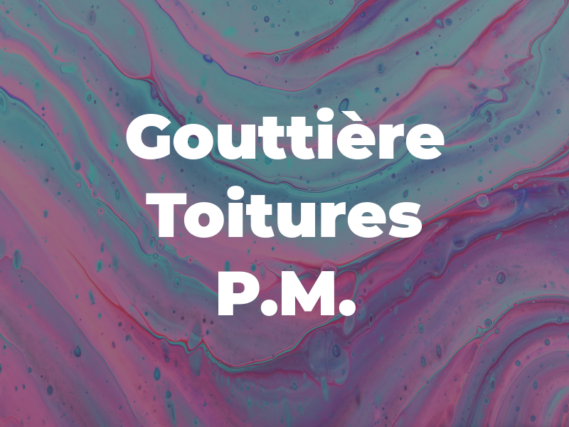 Gouttière et Toitures P.M.