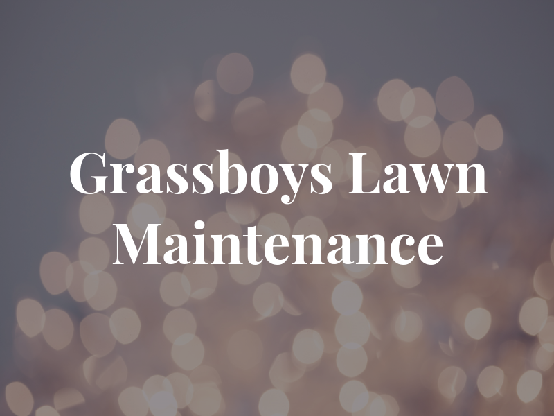 Grassboys Lawn Maintenance