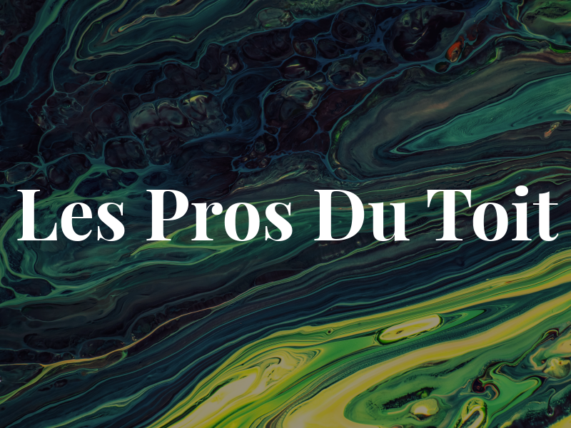 Les Pros Du Toit