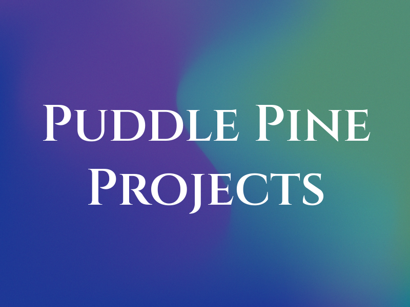 Puddle + Pine Projects