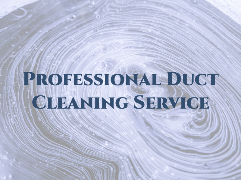 Professional Air Duct Cleaning Service