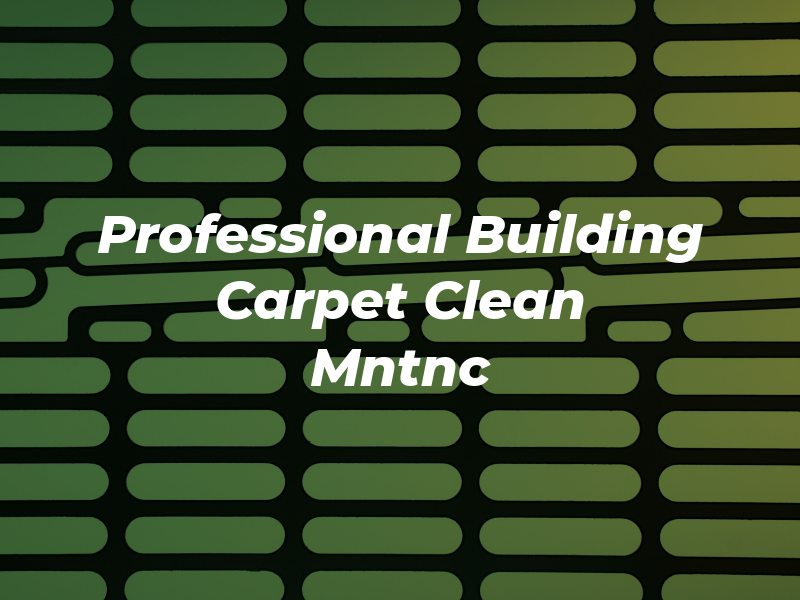 Professional Building Carpet Clean Mntnc