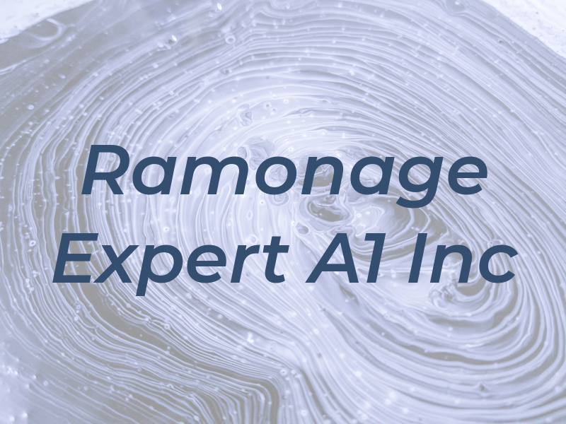 Ramonage Expert A1 Inc