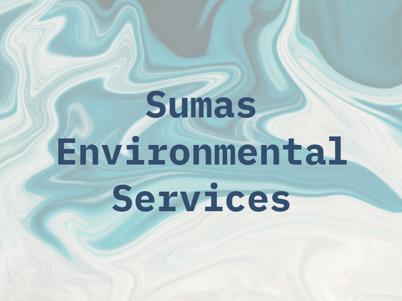 Sumas Environmental Services Inc