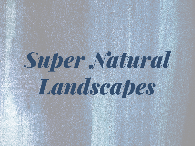 Super Natural Landscapes