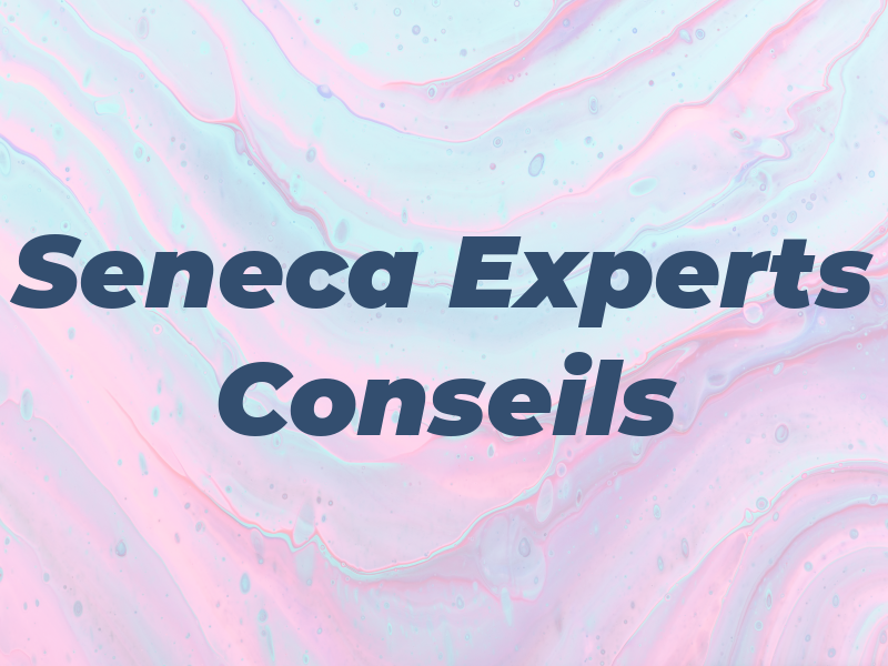 Seneca Experts Conseils