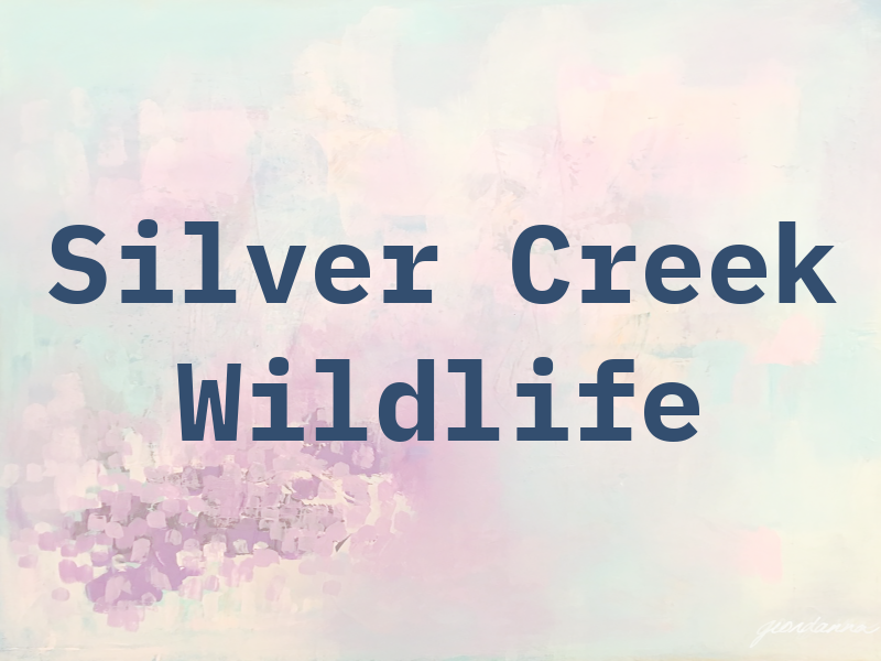 Silver Creek Wildlife