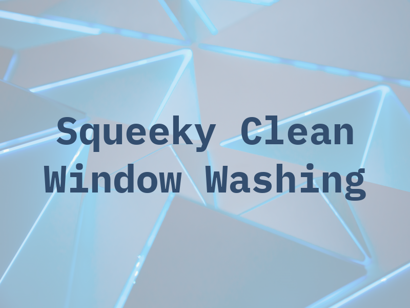 Squeeky Clean Window Washing