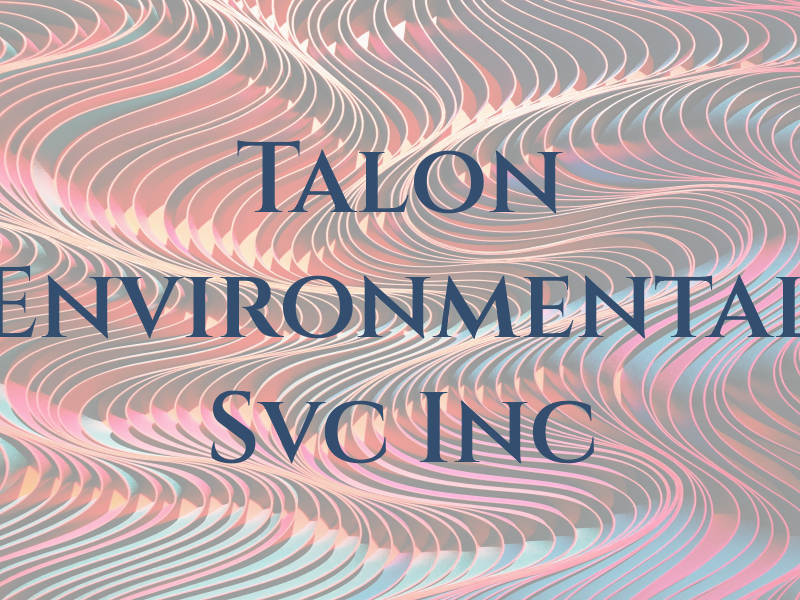 Talon Environmental Svc Inc
