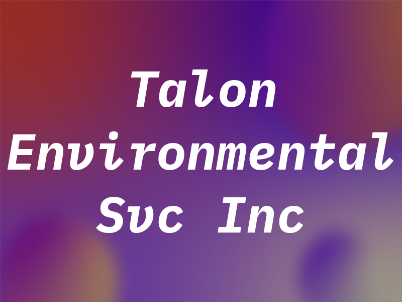 Talon Environmental Svc Inc