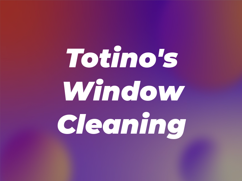 Totino's Window Cleaning