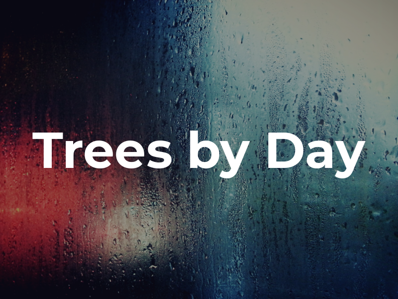 Trees by Day