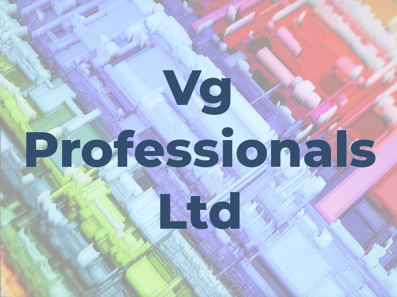 Vg Professionals Ltd