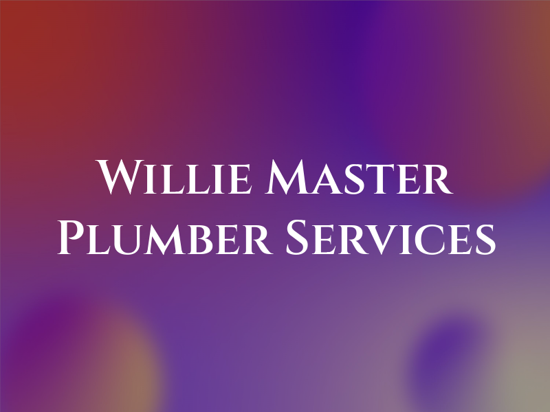 Willie G's Master Plumber Services