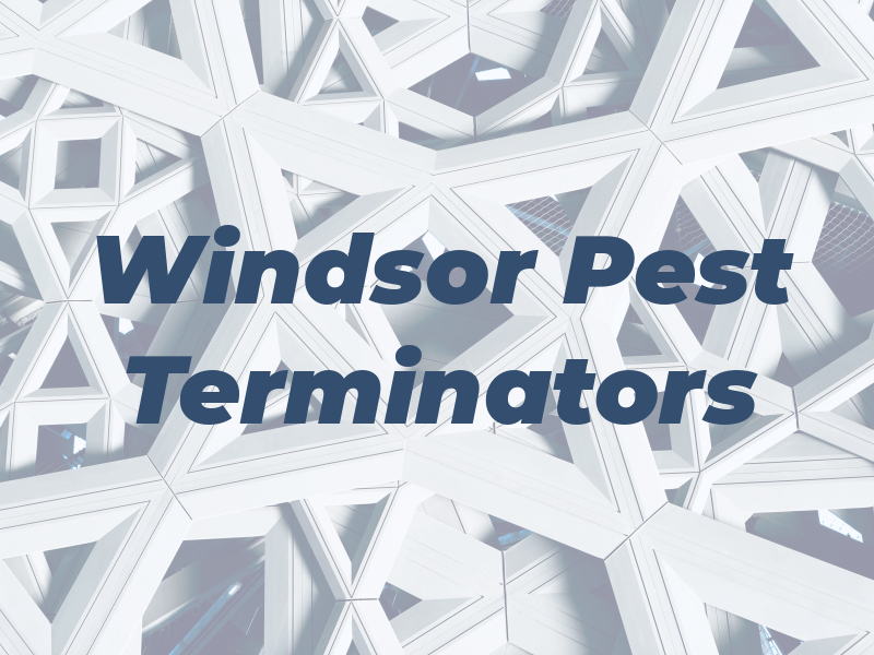 Windsor Pest Terminators