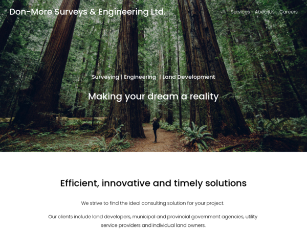 Don-More Surveys & Engineering