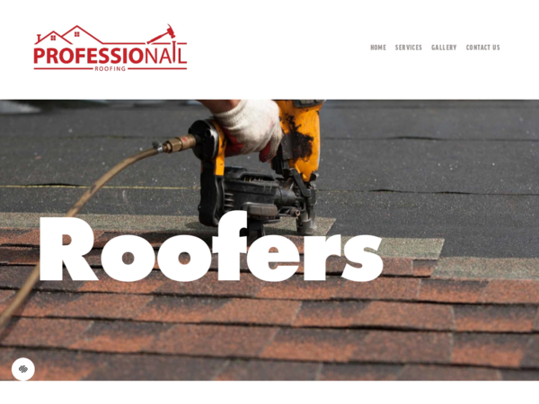 Professionail Roofing