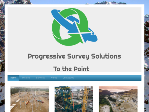 Progressive Survey Solutions