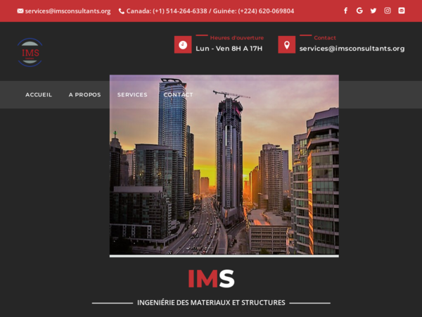 Ims Consultants