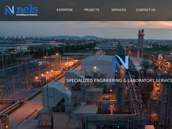 Nels Consulting Services Inc