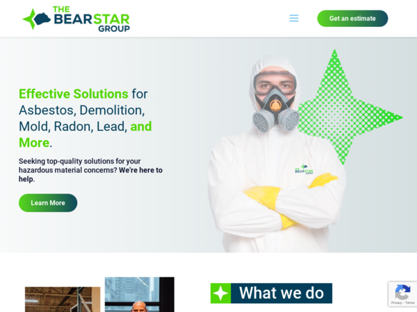 The Bearstar Group Inc.