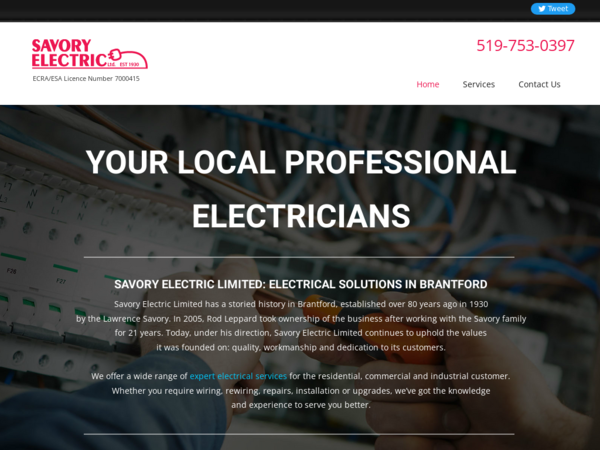 Savory Electric Ltd