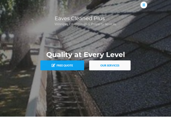 Eaves Cleaned Plus