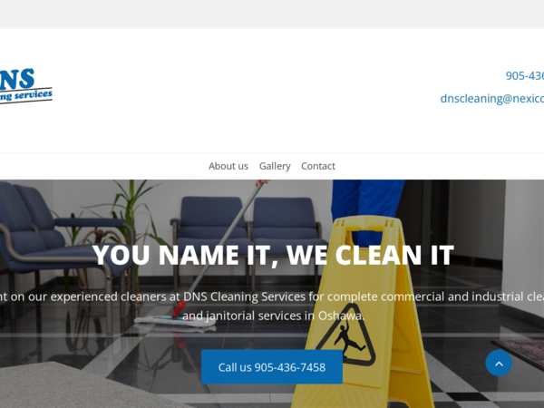 DNS Cleaning Services
