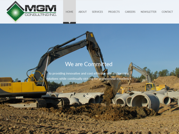 MGM Consulting Inc